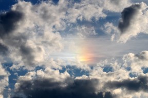 世界游泳联赛队伍重组方案公布，世界游泳联赛队伍重组方案公布最新