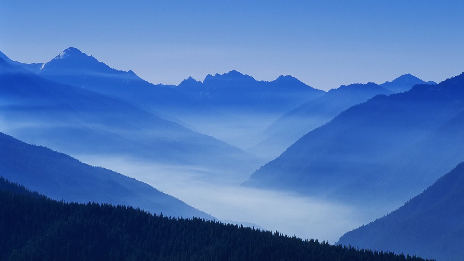 世博杯后社区足球活动与地方财政支持案例,社会足球场补贴政策